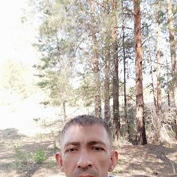 , 44, 