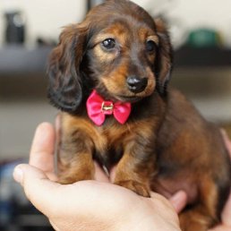 �����, �����, 49 ���