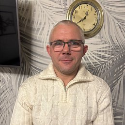 ������, 41 ���, ����