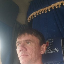���� ���������, ����, 39 ��� - ��������� 12 ���� 2024
