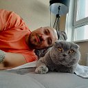 ���� ����, �����������, 37 ��� - ��������� 4 ����� 2026 � ������ ������ ��������
