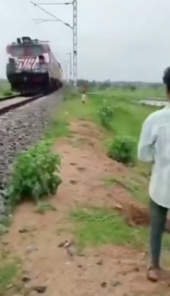           ,   ., ...