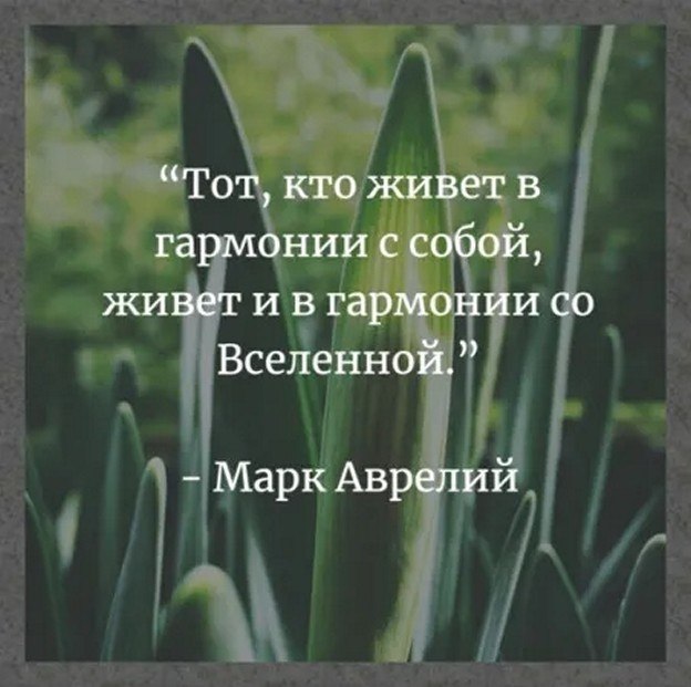 ☆ ☆ - 26  2025  04:23