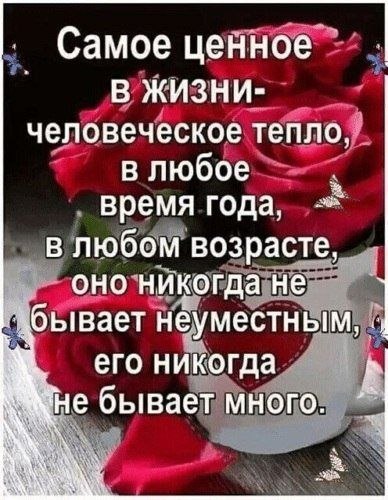 ₪╬═►  ||  ||  ◄═╬₪ - 13  2024  07:26