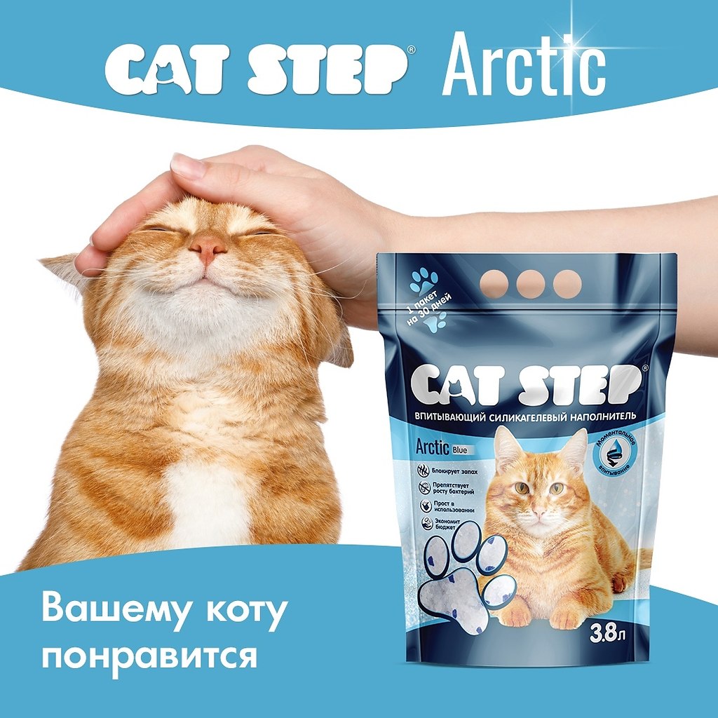     CAT STEP Arctic?   : https://fotostrana.ru/away?to=/sl/Zek - 6