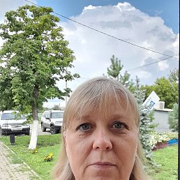 , 53, 