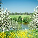 ���� ����, �����-��������� - ��������� 21 ��� 2025 � ������ ������ ��������