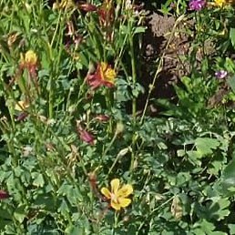 ������, ������, 47 ���