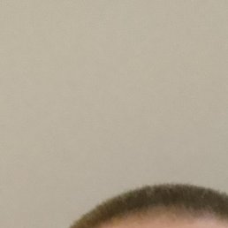 �����, �����-���������, 38 ���