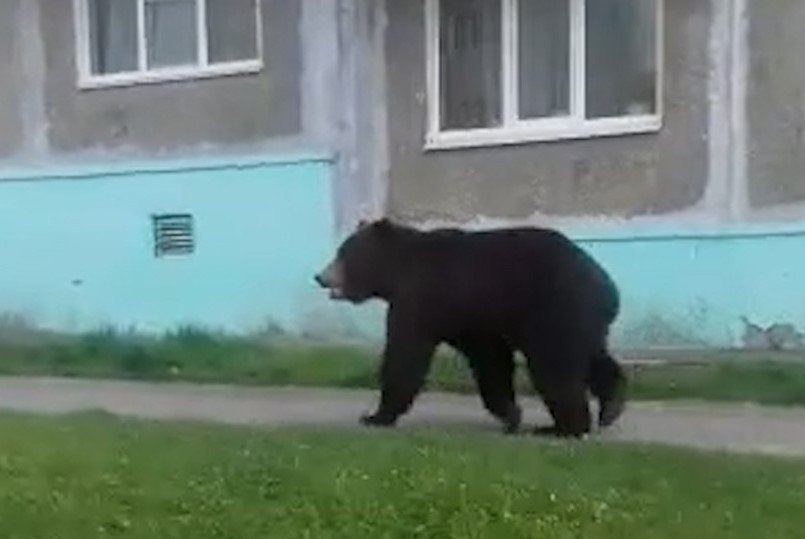 ������� ������ ��������� �������.������� ����� �� ������� ����-����������. ������ ������� ���������� ... - 3