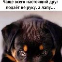 ���� �����, ������, 67 ��� - ��������� 9 ������ 2024 � ������ ������ ��������
