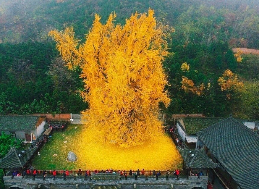 1400-e p . P e p    e