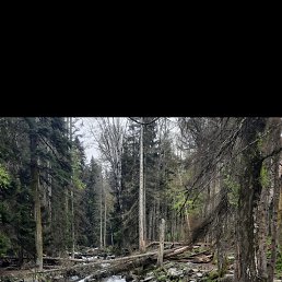 ���� �����, �����, 48 ��� - ��������� 2 ���� 2024