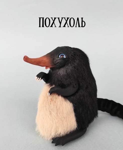 ��������? ��������������hudd�lny� - 5