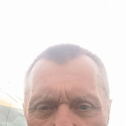 , 66, 