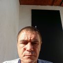 ���� ��������, ����, 43 ���� - ��������� 31 ������� 2026 � ������ ���� ����������