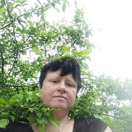 ����, 40 ���, �����