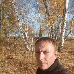 , 40, 