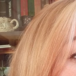 ��������� ���������, ������������, 40 ���