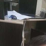 ����, 36 ���, ��������