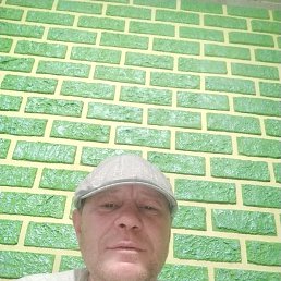 , 43, 