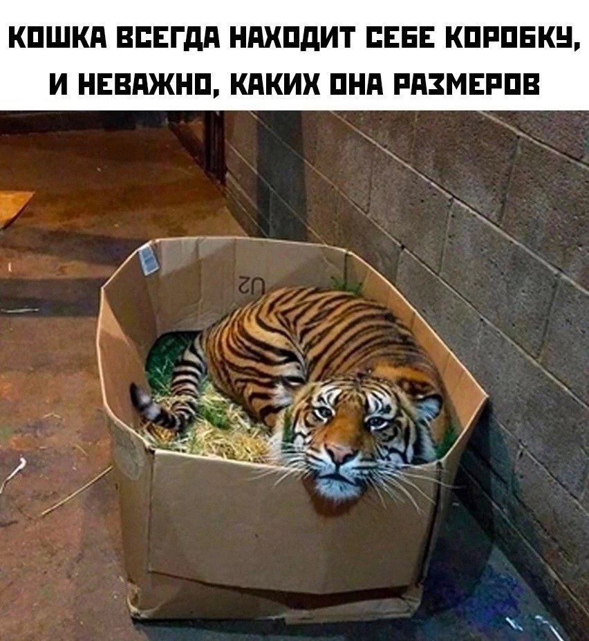  - 23  2025  11:06