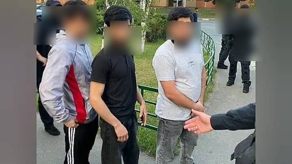 Толпа пьянных мигрантов из*****^ли и из**ли до см***и девушку в Москве, снимая все это на камеру. В ... - 2