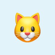 ���������, 21 ���, �����������