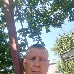 , 38, 
