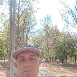 , 46, 