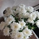 ���� �������, ������, 41 ��� - ��������� 5 ������ 2026 � ������ ���� ����������