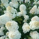 ���� �����, ������� - ��������� 29 ������� 2024 � ������ ���� ����������