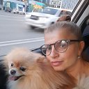 ���� �����, �����������, 49 ��� - ��������� 30 ������ 2024 � ������ ���� ����������