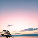 ���� ��������, ������� - ��������� 14 �������� 2025