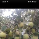 ���� ���� /�����������, ������-��-����, 58 ��� - ��������� 10 ��� 2026 � ������ ���� ����������