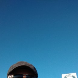 , 53, 