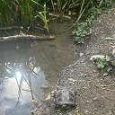 ���� ����, ����, 48 ��� - ��������� 31 ��� 2025 � ������ ���� ����������