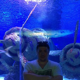 Dmitriy, 40, -