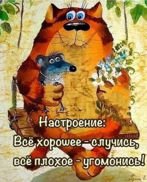   - 10  2024  05:37