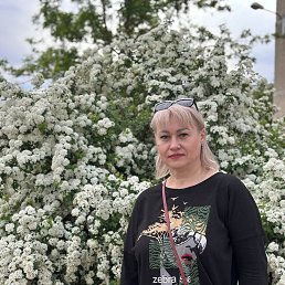 , 48, 