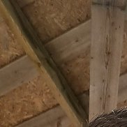 , 38 , -