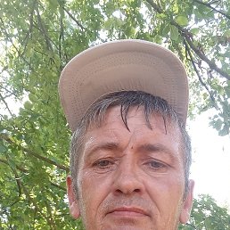 , 44, 