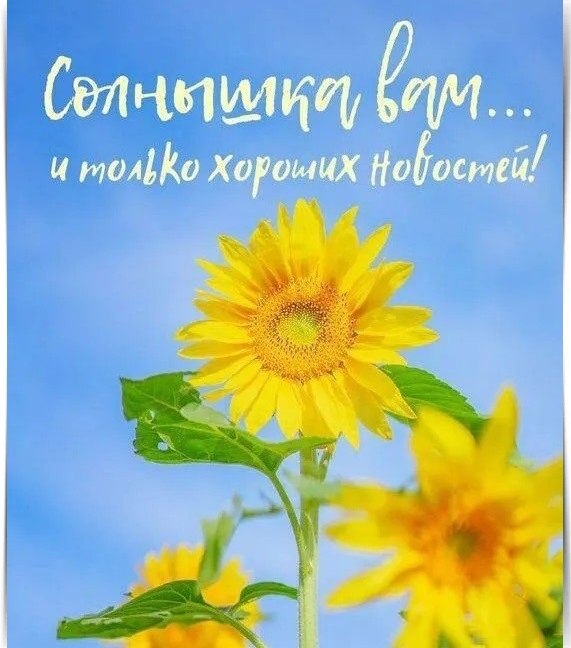~~~~~~~~