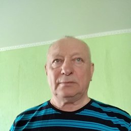 , 65, 