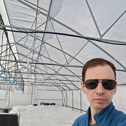 �����, 40 ���, �����