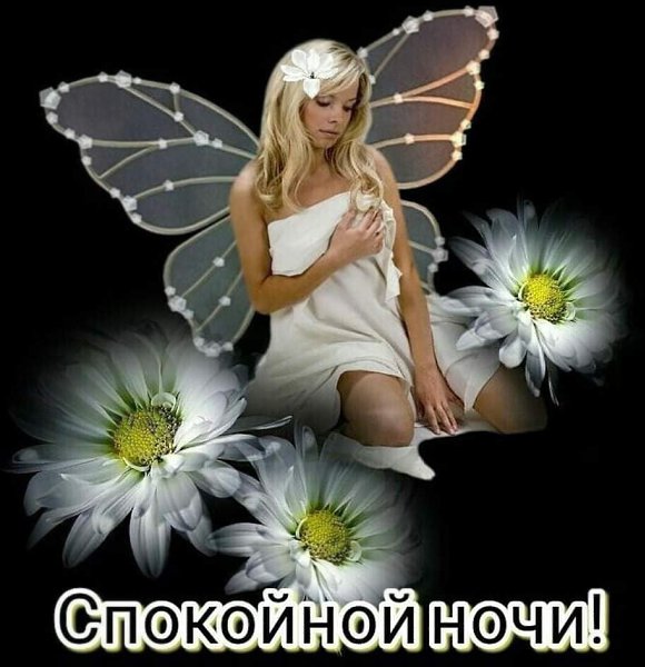   ,    . - 7  2024  18:50