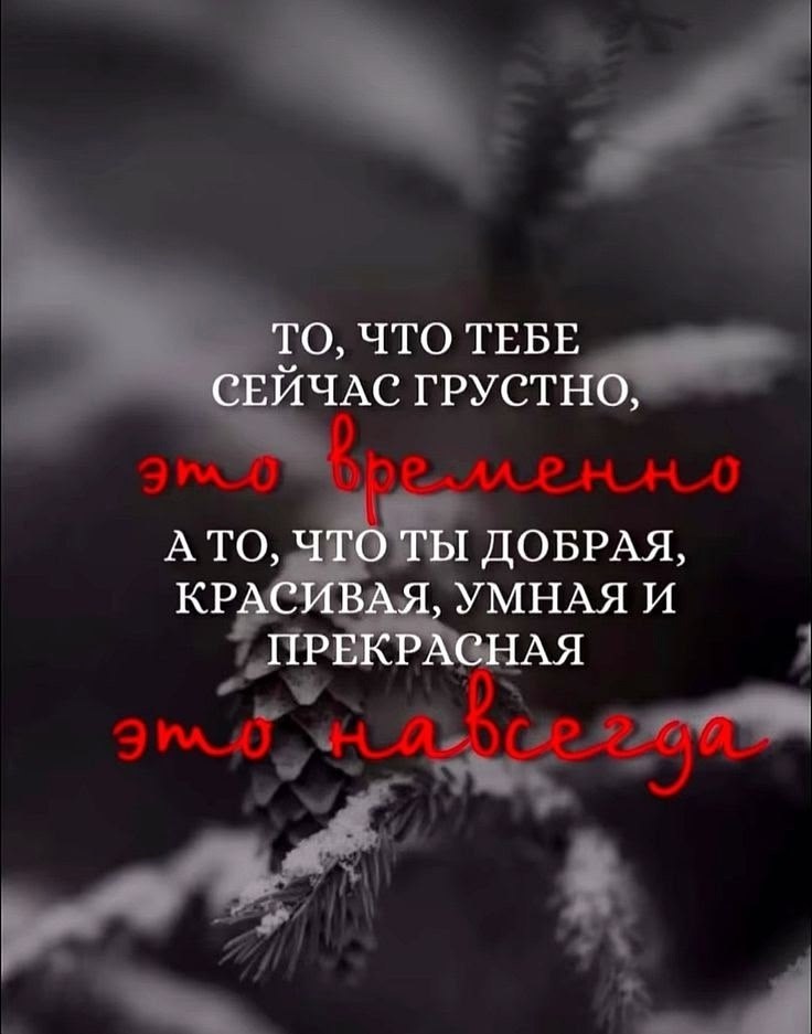  - 15  2025  11:27