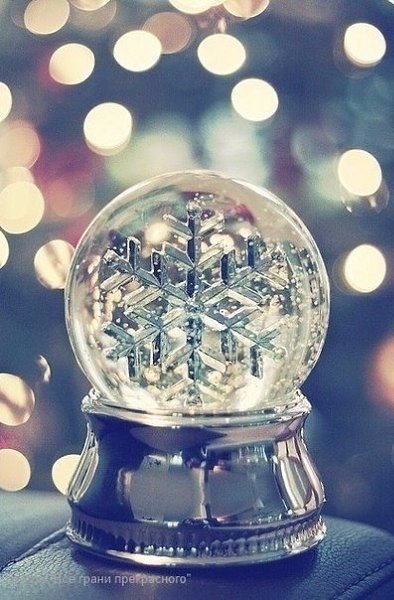 Верь в мечту. У неё есть приятная особенность - сбываться - 4