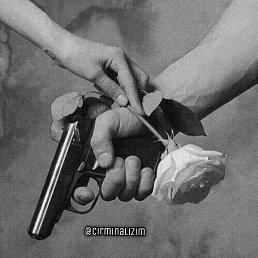 ���������, �����, 31 ���