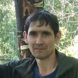 ������, ��������, 46 ���